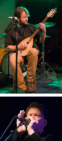 tambura mondharmonica folk akoestisch Neil Young tributeband
